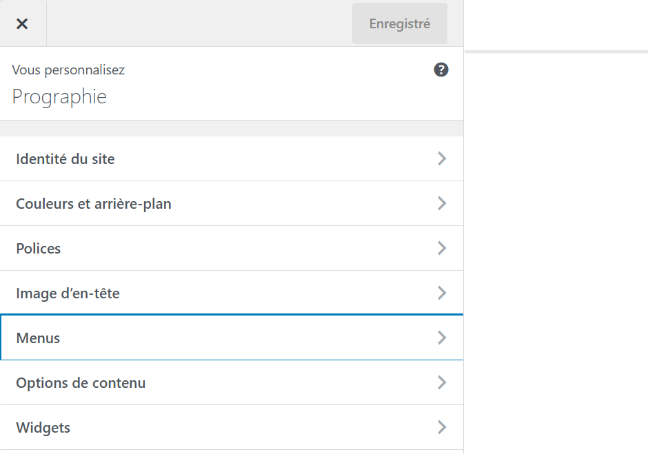 Capture d'écran : personnalisation du thème WordPress